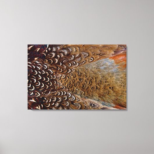 Bruine Fazantveerontwerp Canvas Afdruk (Voorkant)
