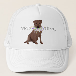 Bruine feestbeest Labrador Retriever Trucker Pet
