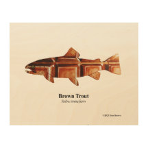 Bruine forel; bleekhout; 10"x8"