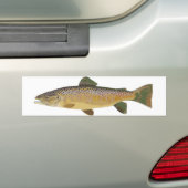 Bruine forel. bumpersticker (Op auto)