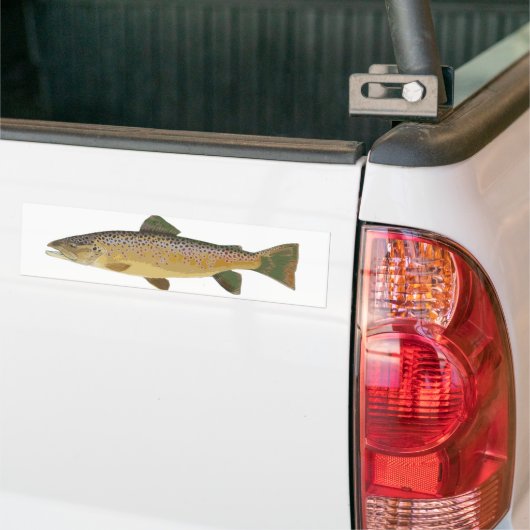 Bruine forel. bumpersticker (Op Truck)