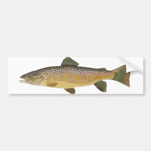 Bruine forel. bumpersticker (Voorkant)