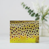 Bruine forel door PatternWear© Briefkaart (Staand voorkant)