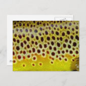 Bruine forel door PatternWear© Briefkaart (Voorkant / Achterkant)