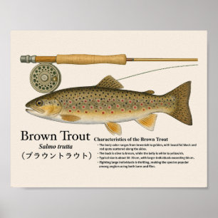 Bruine Forel – Engelse Kunstprint Poster