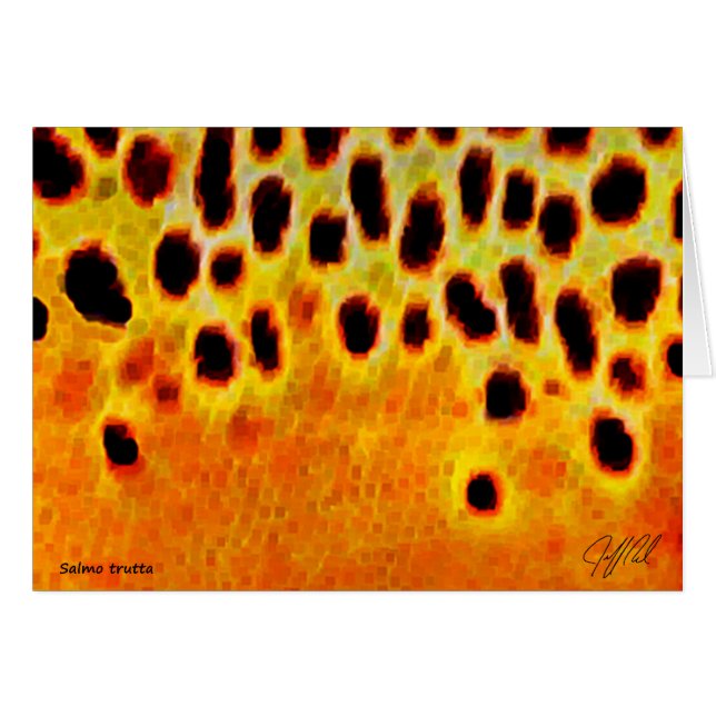 Bruine forel - Kaart (Voorkant Horizontaal)