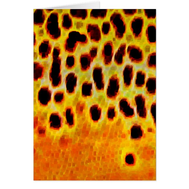 Bruine forel - Kaart (Voorkant)