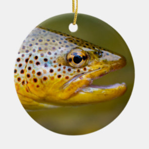 Bruine forel keramisch ornament