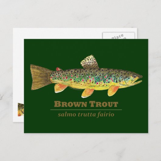 Bruine forel Latijn Ichthyology Briefkaart (Voorkant / Achterkant)