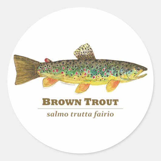 Bruine forel Latijn Ichthyology Ronde Sticker (Voorkant)
