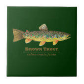 Bruine forel Latijn Ichthyology Tegeltje (Voorkant)