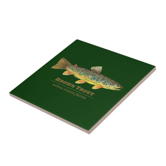 Bruine forel Latijn Ichthyology Tegeltje (Zijkant)