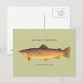 Bruine forel met  illustratie briefkaart (Voorkant / Achterkant)