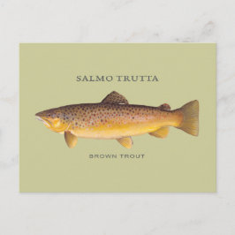 Bruine forel met illustratie briefkaart