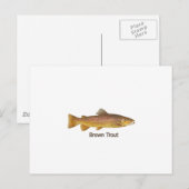 Bruine forel (met titel) briefkaart (Voorkant / Achterkant)