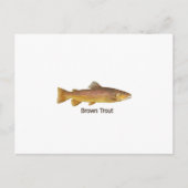 Bruine forel (met titel) briefkaart (Voorkant)