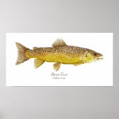 Bruine forel poster (Voorkant)