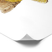 Bruine forel poster (Hoek)