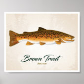 Bruine forel poster (Voorkant)