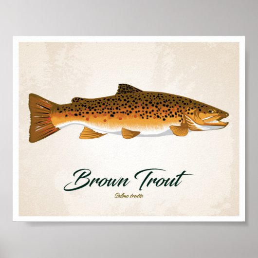 Bruine forel poster (Voorkant)