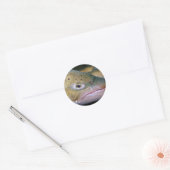 Bruine forel ronde sticker (Envelop)