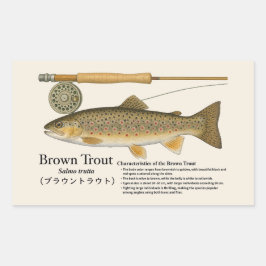 Bruine Forel (Salmo trutta) – Engelse Illustratie Rechthoekige Sticker