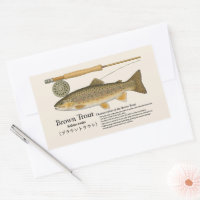 Bruine Forel (Salmo trutta) – Engelse Illustratie