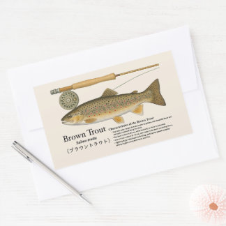 Bruine Forel (Salmo trutta) – Engelse Illustratie Rechthoekige Sticker