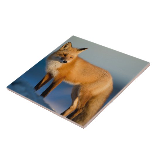 Bruine Fox Keramische Tegel Tegeltje (Zijkant)