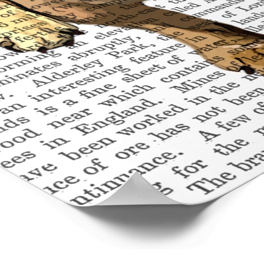 Bruine Franse Bulldog met groen Pet Poster (Hoek)