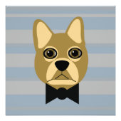 Bruine Franse Bulldog, Stripes Foto Afdruk (Voorkant)