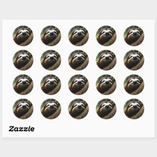Bruine Fuzzy Sloth Ronde Sticker