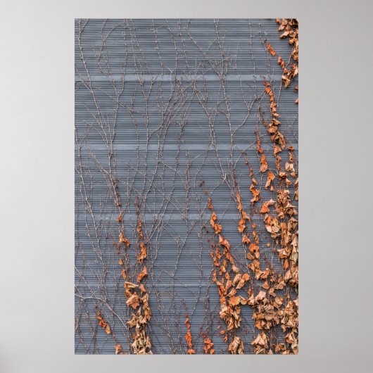 Bruine gedroogde bladeren op water poster (Voorkant)