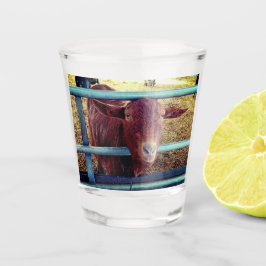 Bruine geit shot glas