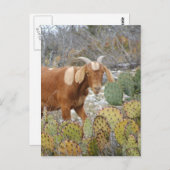 Bruine gespikkelde geit briefkaart (Voorkant / Achterkant)