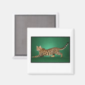 Bruine gevlekte Bengaalse magneet (Voorkant / Achterkant)