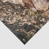 Bruine grijze boomschors Textuur Oude foto Kunst Tissuepapier (Detail)