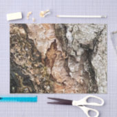 Bruine grijze boomschors Textuur Oude foto Kunst Tissuepapier (Craft)