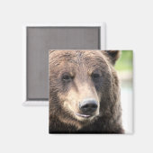 Bruine Grizzlybeer Magneet (Voorkant / Achterkant)