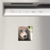 Bruine Grizzlybeer Magneet (Insitu (Vaatwasser))