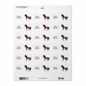 Bruine Gypsy Vanner Clydesdale Cartoon Horse & Tex Etiket (Full Sheet)