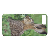 Bruine haas, Lepus europaeus, jong eet, Case-Mate iPhone Case (Achterkant (Horizontaal))