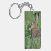 Bruine haas, Lepus europaeus, jong eet, Sleutelhanger (Voorkant Links)