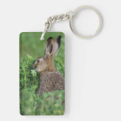 Bruine haas, Lepus europaeus, jong eet, Sleutelhanger (achterkant)