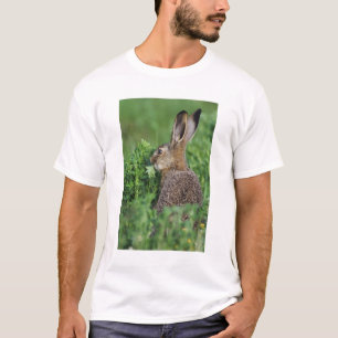 Bruine haas, Lepus europaeus, jong eet, T-shirt