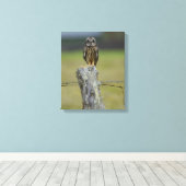 Bruine Hawaïaanse Uil Zittend op een Hek Post Canvas Afdruk (Insitu (Houten vloer))