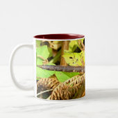 Bruine Hawker Dragonfly (F) Tweekleurige Koffiemok (Links)