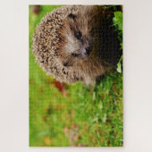 Bruine hegdehog op gras legpuzzel (Verticaal)