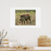 Bruine hog. poster (Keuken)