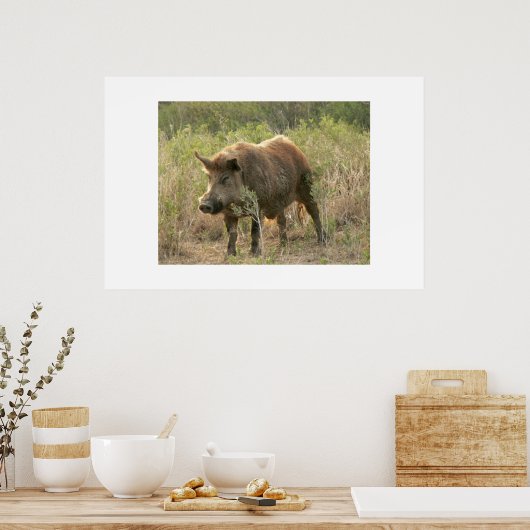 Bruine hog. poster (Keuken)